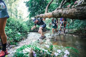 BIB: 
                            <button type="button" onclick="openModal(25450545)" class="btn btn-primary btn-sm float-right btn-popup" data-toggle="modal" data-target=".modal-high-quality">
                        <i class="fas fa-shopping-cart"></i> Add to Cart
                    </button>
                                            <button type="button" onclick="isThisMe(25450545, true)" class="btn btn-success btn-sm float-right btn-popup btn-isme hidden" data-toggle="tooltip" data-placement="bottom" title="นี่คือรูปของคุณใช่ไหม คลิกที่นี่เพื่อเอาเข้าอัลบั้ม">
                        <i class="fas fa-plus"></i> Add to album
                    </button>
                    <button type="button" onclick="isThisMe(25450545, false)" class="btn btn-warning btn-sm float-right btn-popup btn-isnotme hidden">
                        <i class="fas fa-ban"></i> Remove from album
                    </button>